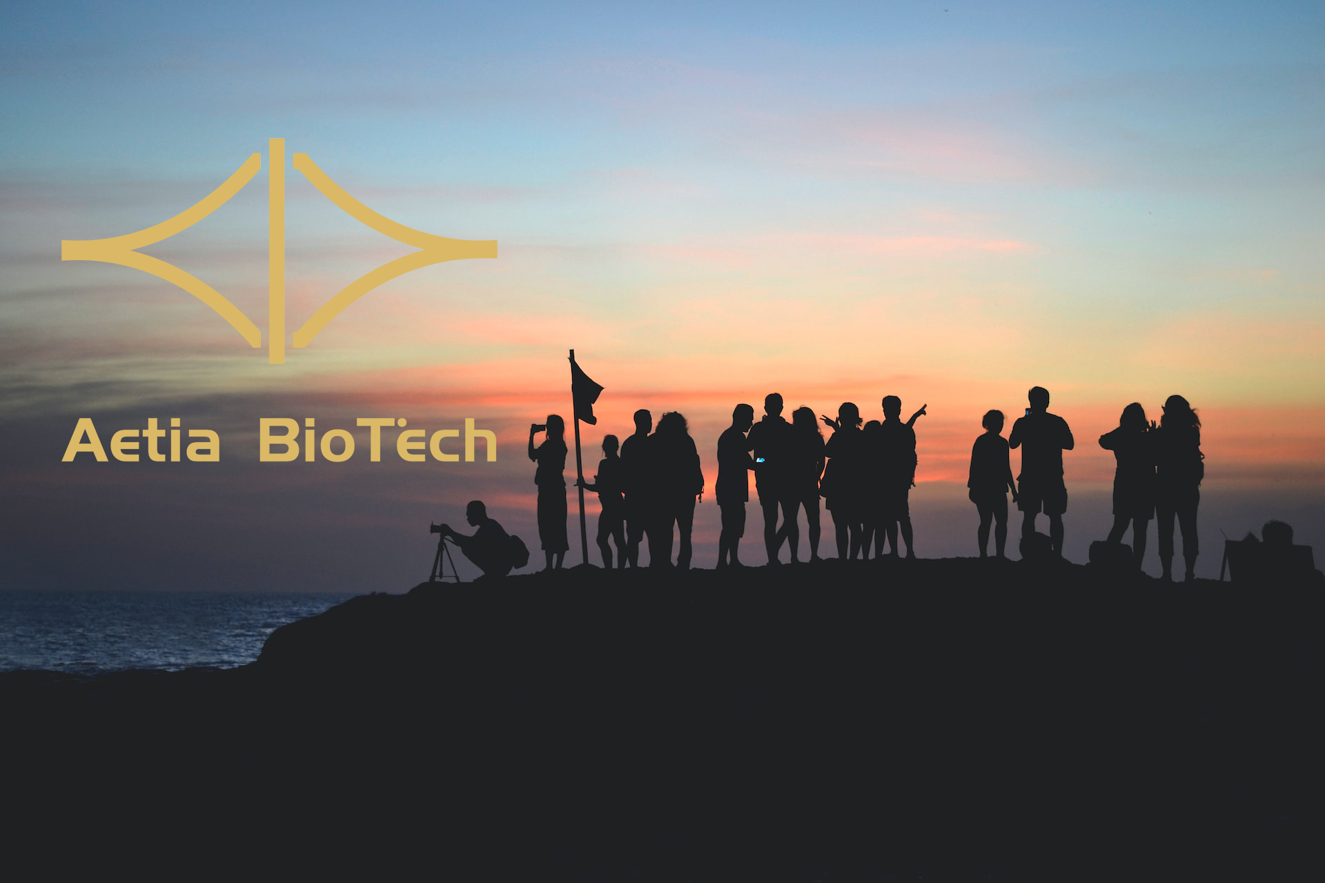 首页关于我们背景